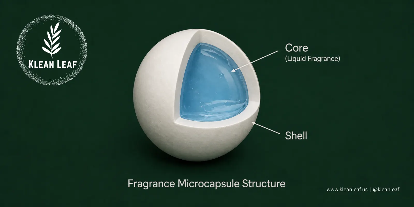 Fragrance microcapsule structure showing liquid fragrance core inside a protective shell